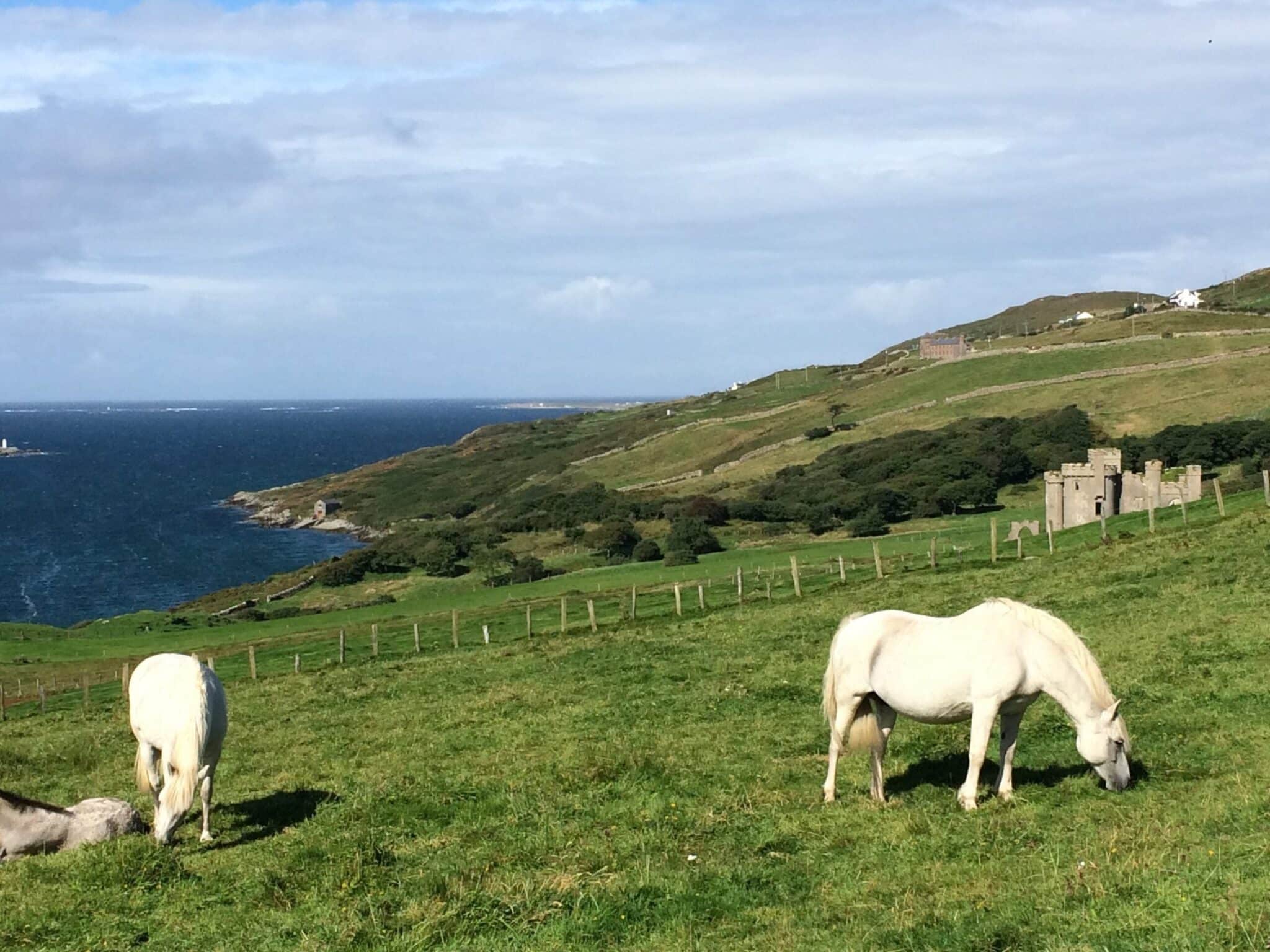 ireland unique tours