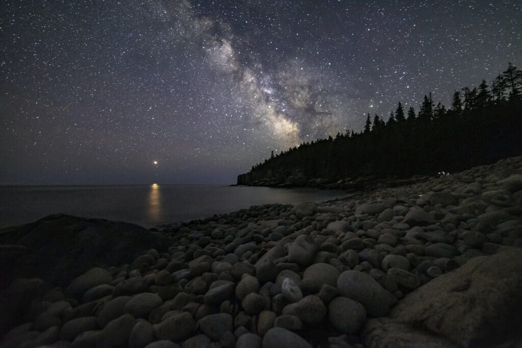 Green Pine Trees Near Body of Water during Night Time