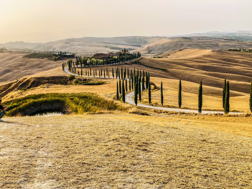 Cypresses Along the Serpent Road, Tuscany, Italy