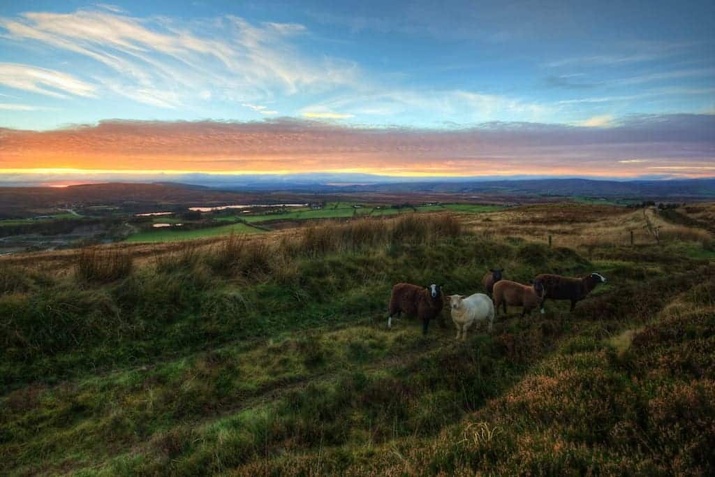 Most Unique Places to Visit in Ireland