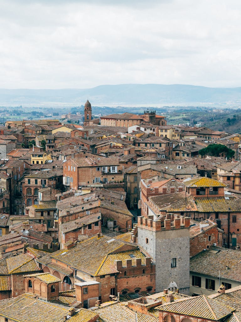 Photo of Brown and Gray Buildings