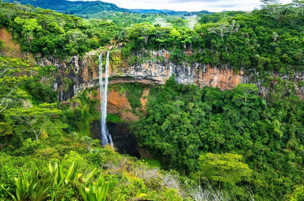 weather in mauritius december