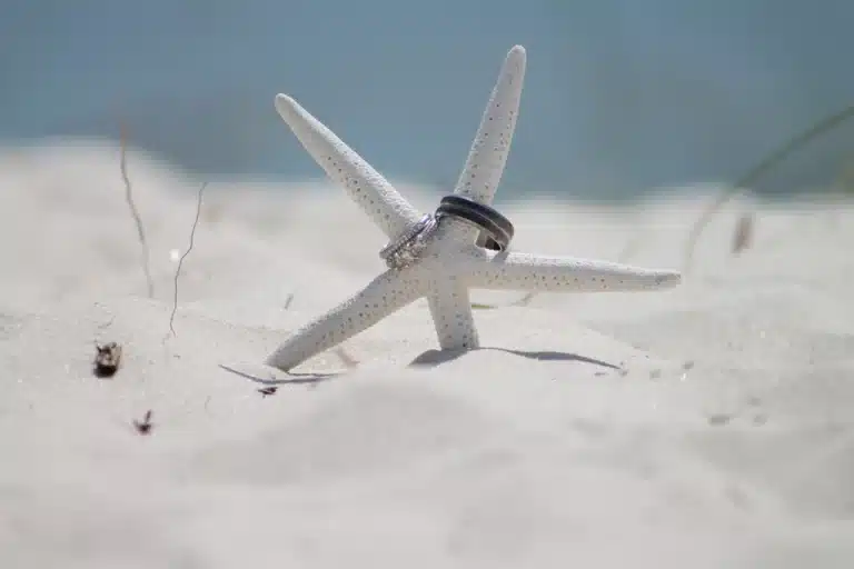 Wedding ring starfish sand