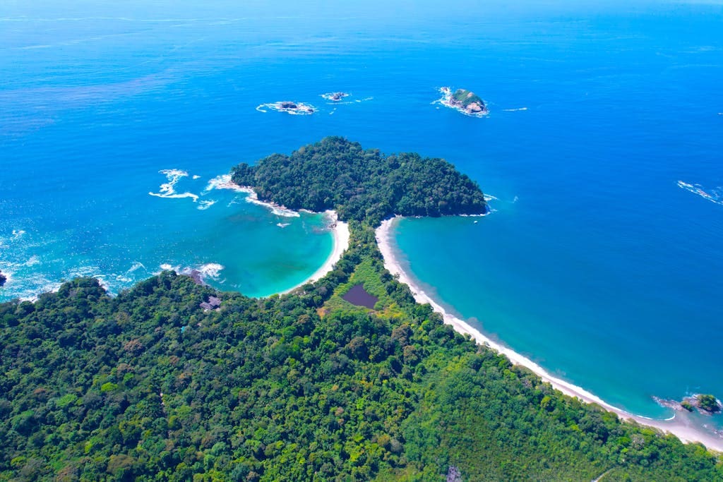 Green Trees Near Blue Sea