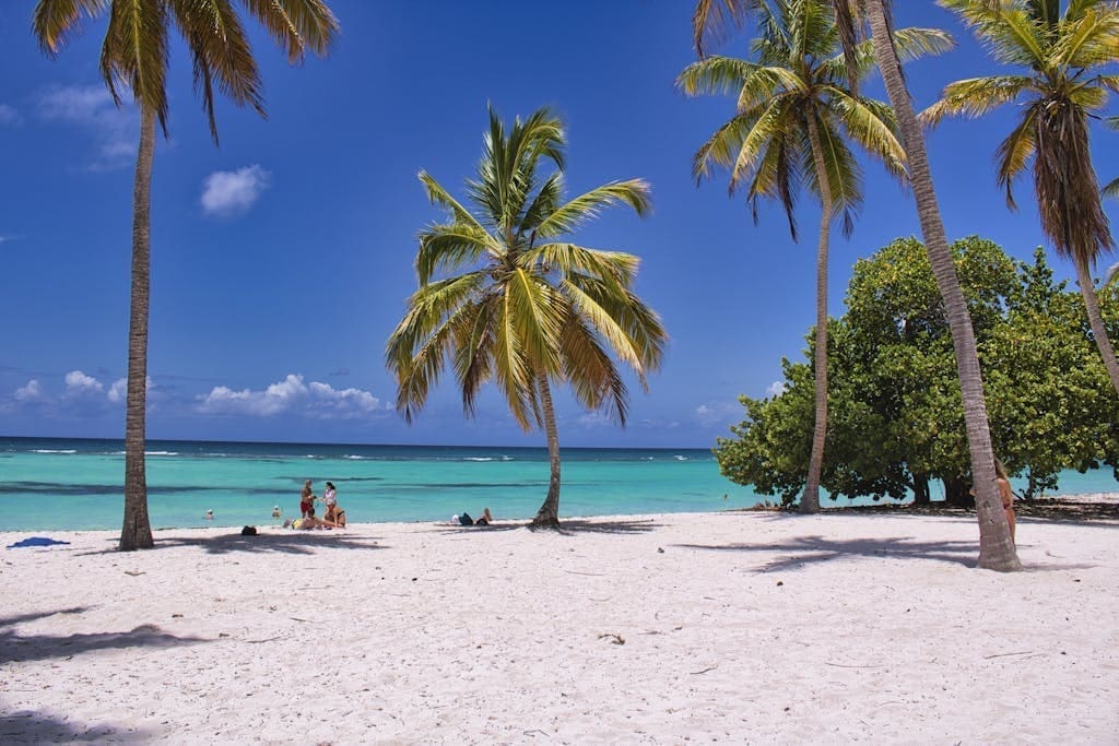 Best Caribbean Islands in January