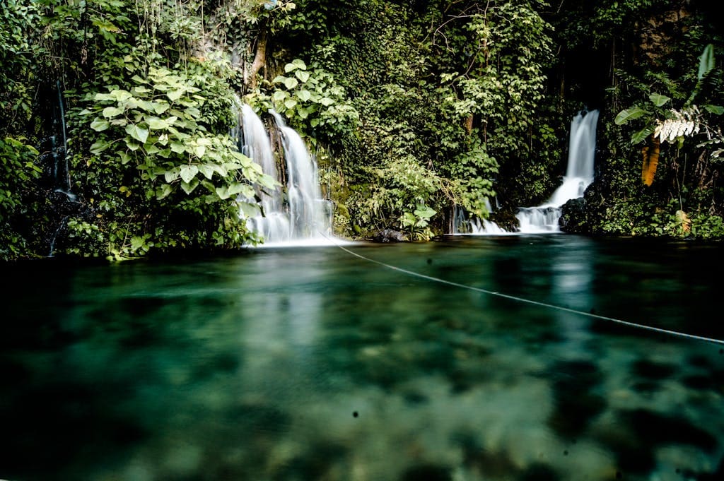 Waterfalls Surrounded by Green Trees