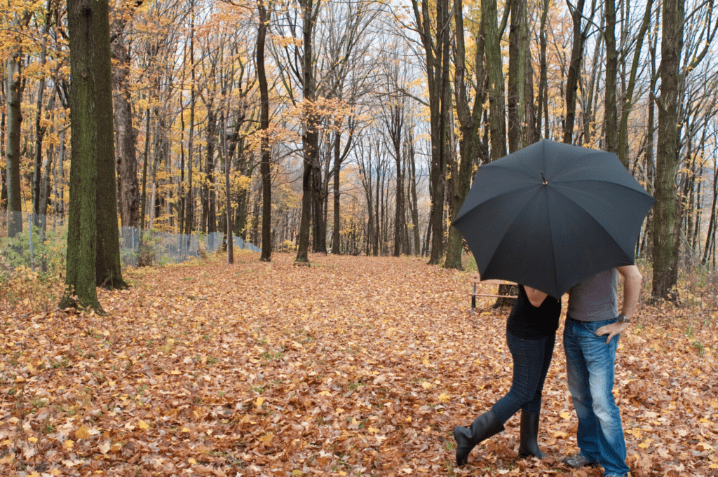 Fall road trips in New England