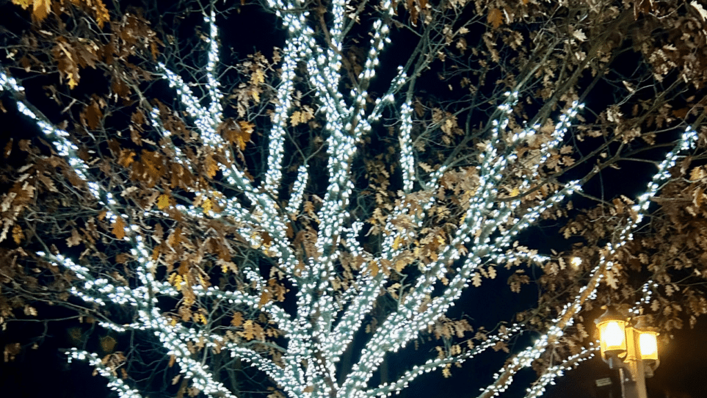 Hersheypark Christmas