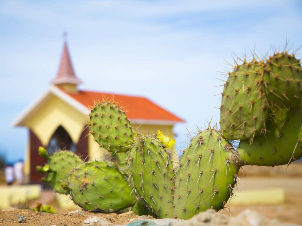 destination wedding in Aruba