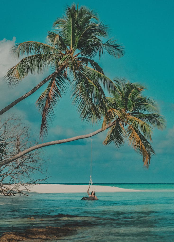 Relaxing on a swing under palm trees in a tropical ocean setting.