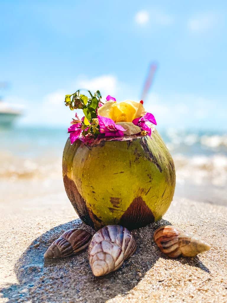 Vibrant coconut drink with flowers on sandy beach in Mauritius, ideal for tropical themes.