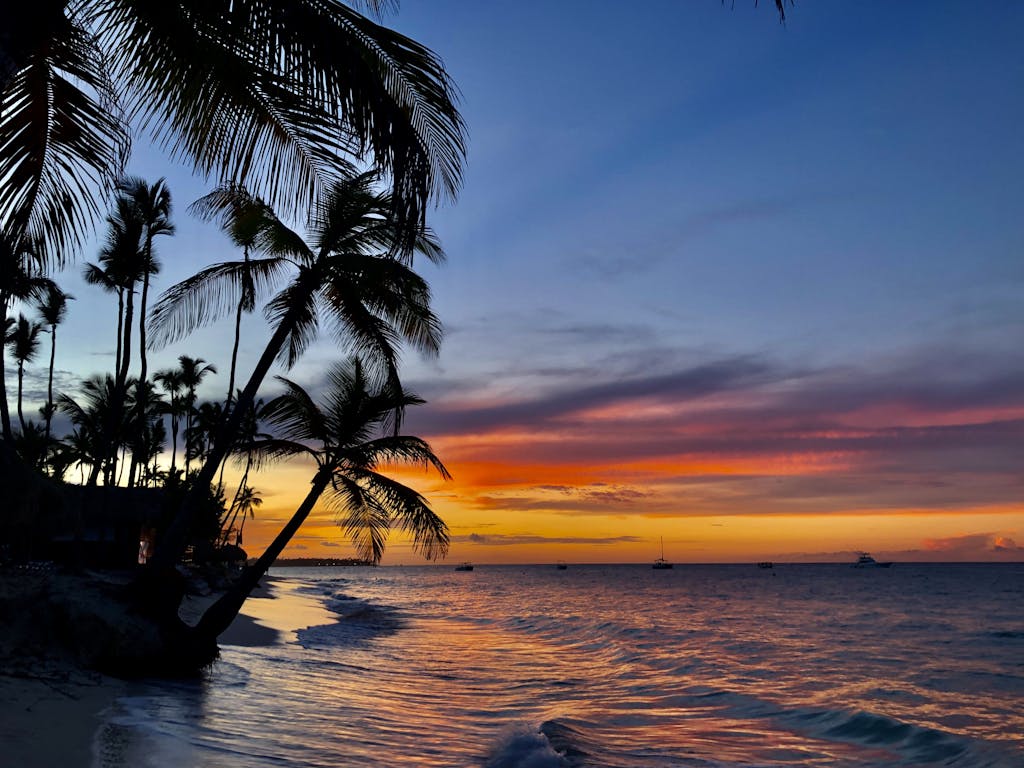 Beautiful sunset over a tropical beach in the Dominican Republic with palm trees silhouetted against the sky.