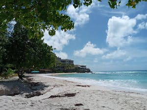 Things to Do in Barbados for Couples