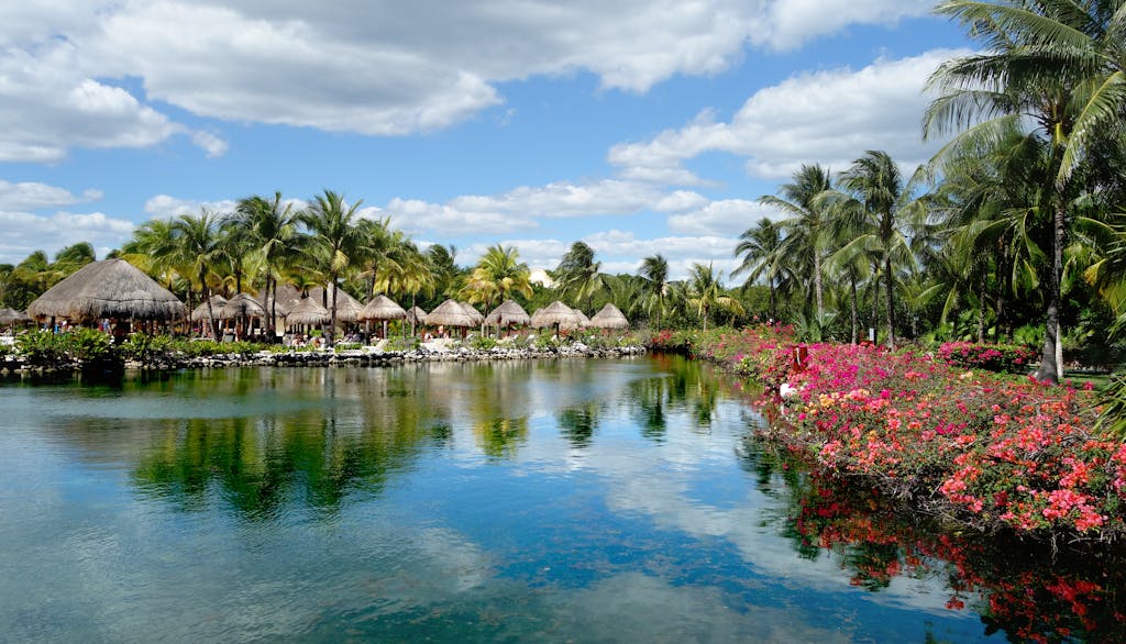 Serene tropical resort in Playa del Carmen, Mexico with lush palm trees and vibrant reflections in a tranquil lake.